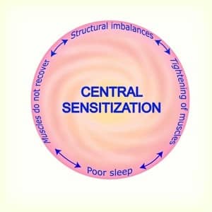 Prahran-Chiropractic-Central-Sensitization